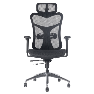 Alpha Mesh Executive Chair 